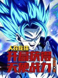 人在龙珠,开局获得天使战力